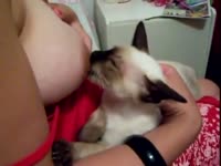 Cat gets to lick her zoophilia owner's nipples